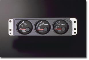 Triple Gauge Cluster